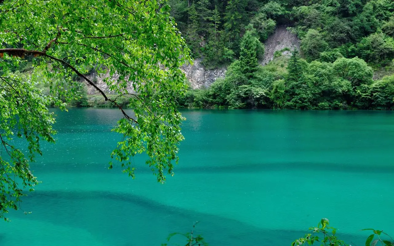 高效稳定性高效